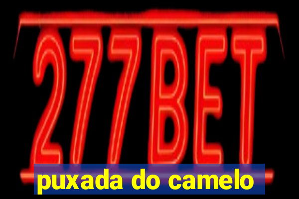 puxada do camelo